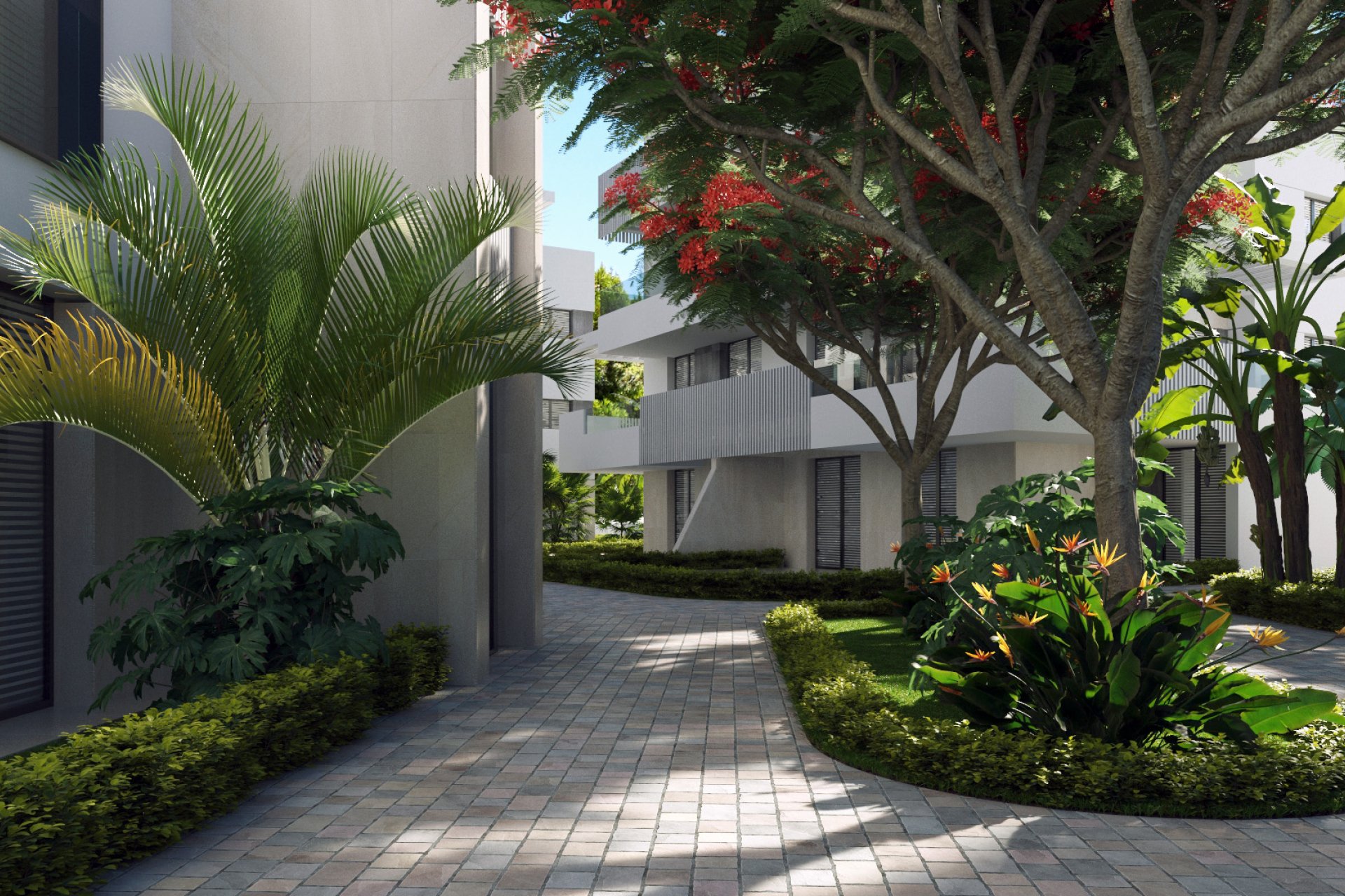 Obra nueva - ground-floor -
Torre-Pacheco