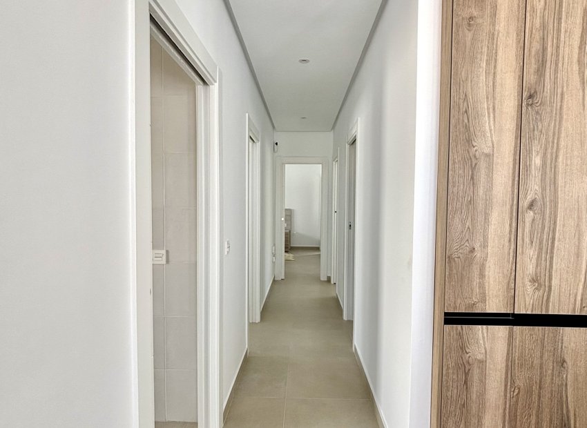 Obra nueva - Independiente / Villa -
Benijofar