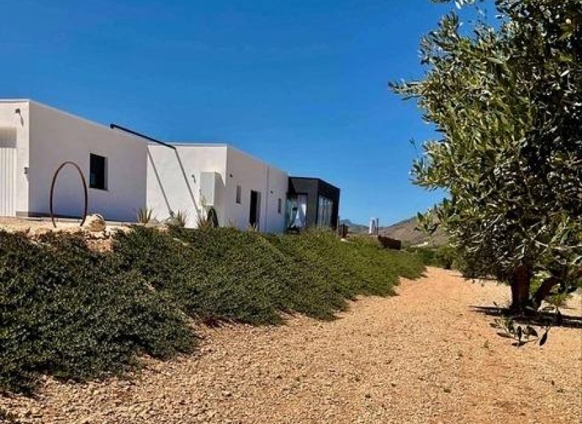 Obra nueva - Independiente / Villa -
Hondón de las Nieves - La Canalosa