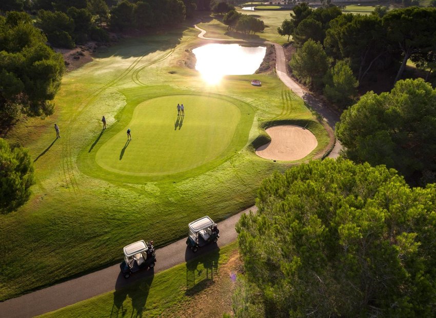 Obra nueva - Independiente / Villa -
Pilar de la Horadada - Lo Romero Golf