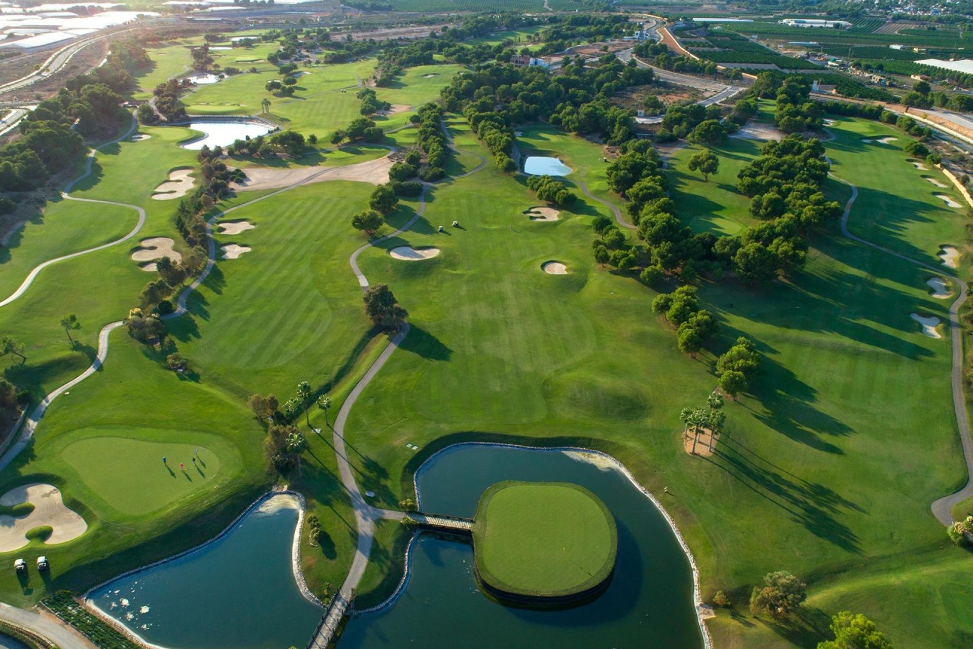 Obra nueva - Independiente / Villa -
Pilar de la Horadada - Lo Romero Golf