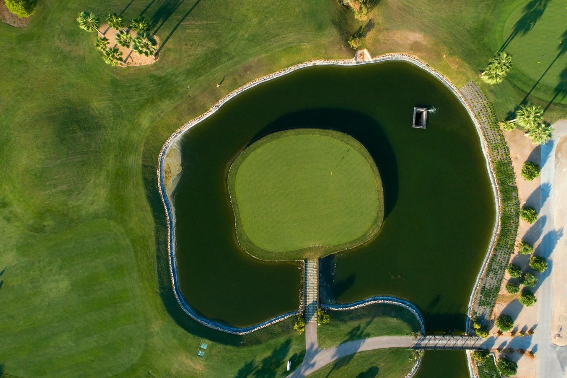 Obra nueva - Independiente / Villa -
Pilar de la Horadada - Lo Romero Golf