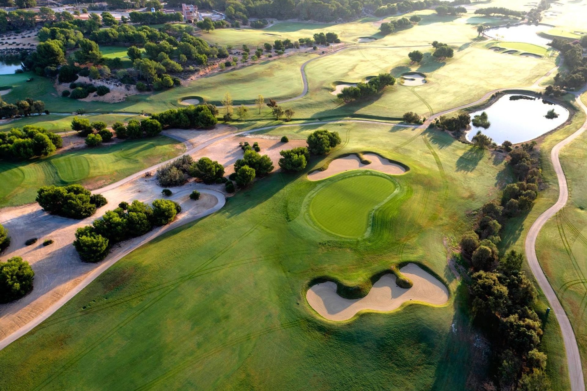 Obra nueva - Independiente / Villa -
Pilar de la Horadada - Lo Romero Golf