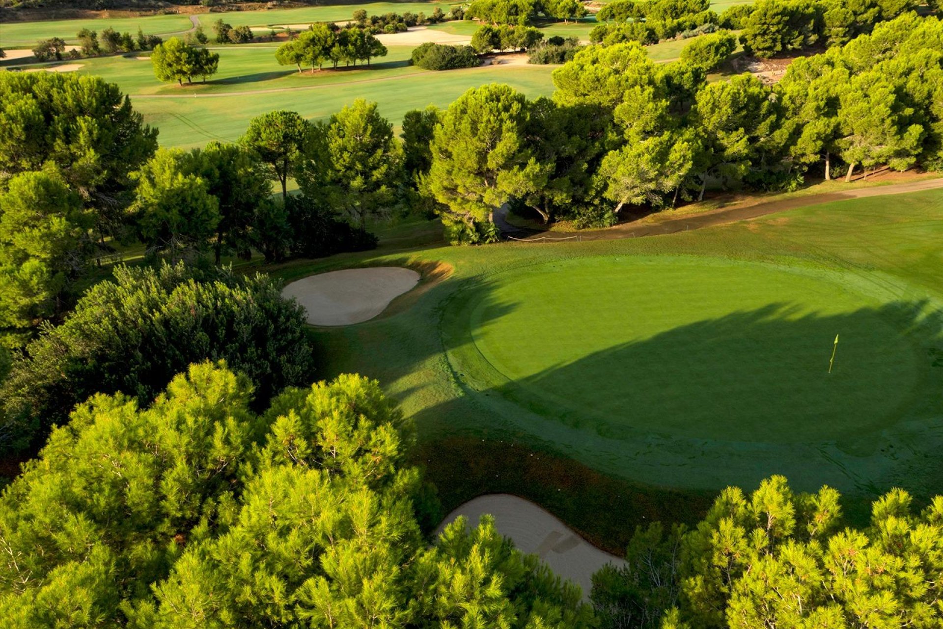 Obra nueva - Independiente / Villa -
Pilar de la Horadada - Lo Romero Golf