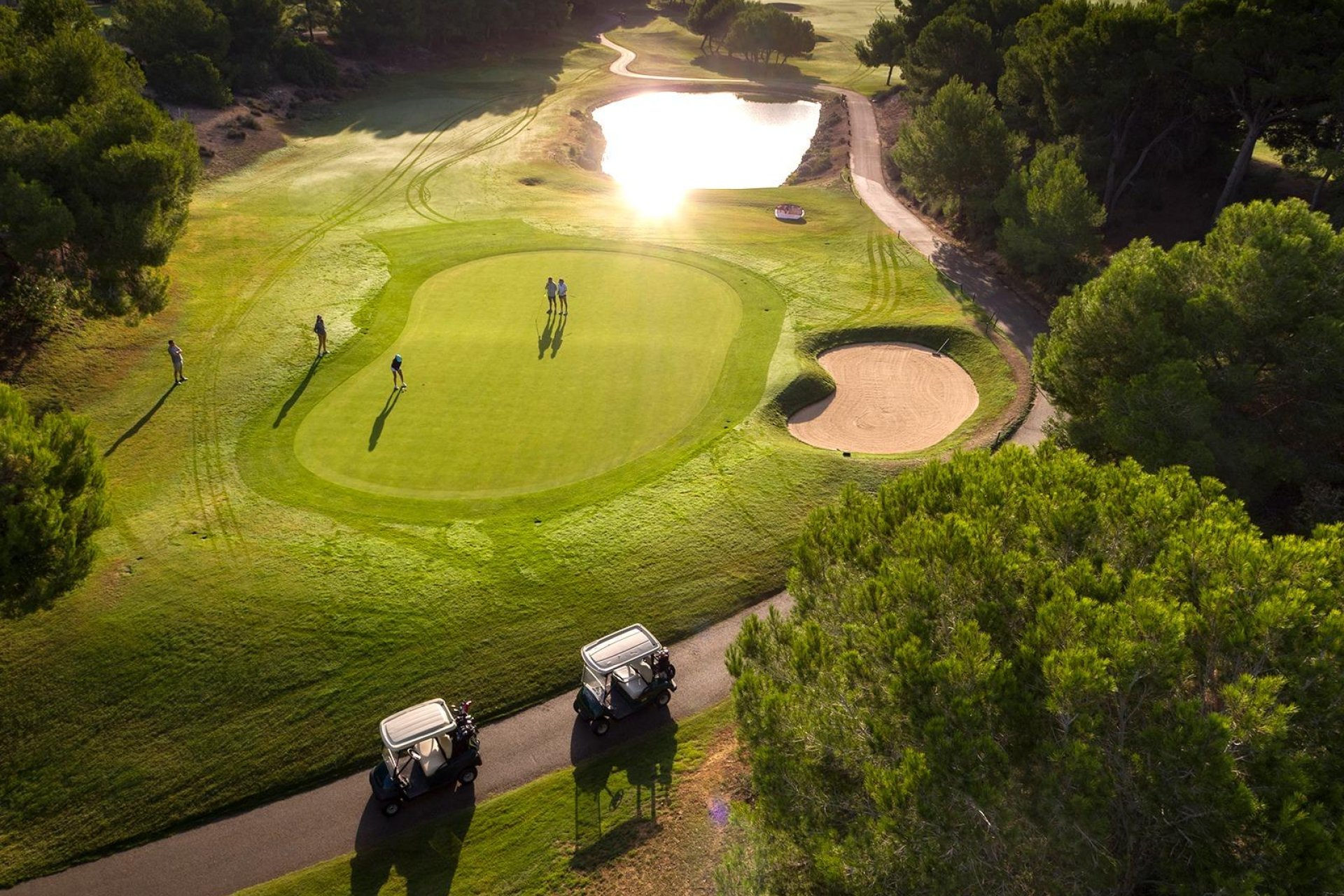 Obra nueva - Independiente / Villa -
Pilar de la Horadada - Lo Romero Golf