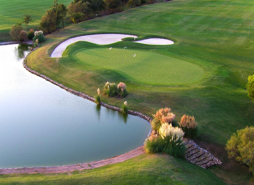 Obra nueva - Independiente / Villa -
Pilar de la Horadada - Lo Romero Golf