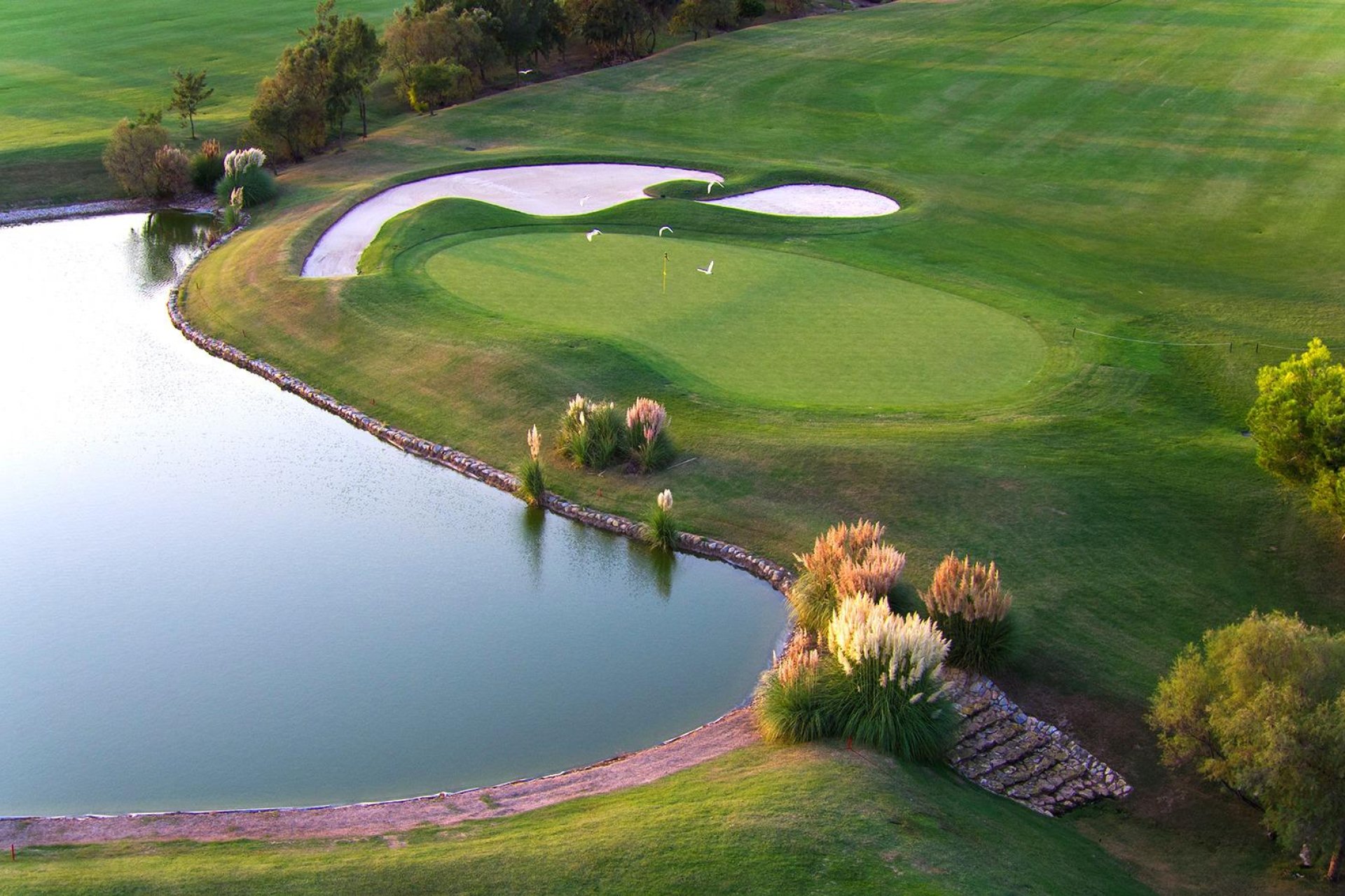 Obra nueva - Independiente / Villa -
Pilar de la Horadada - Lo Romero Golf