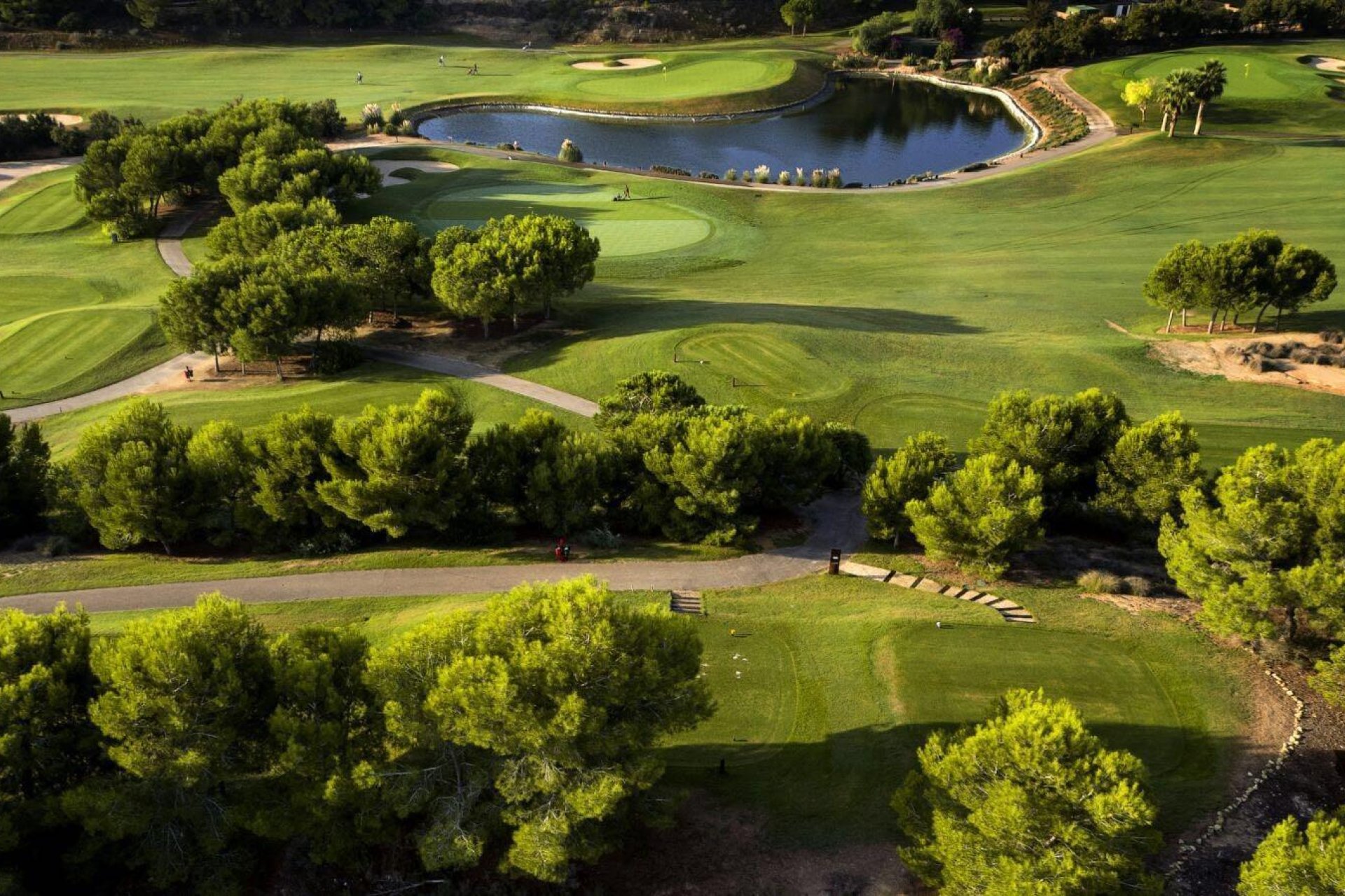 Obra nueva - Independiente / Villa -
Pilar de la Horadada - Lo Romero Golf