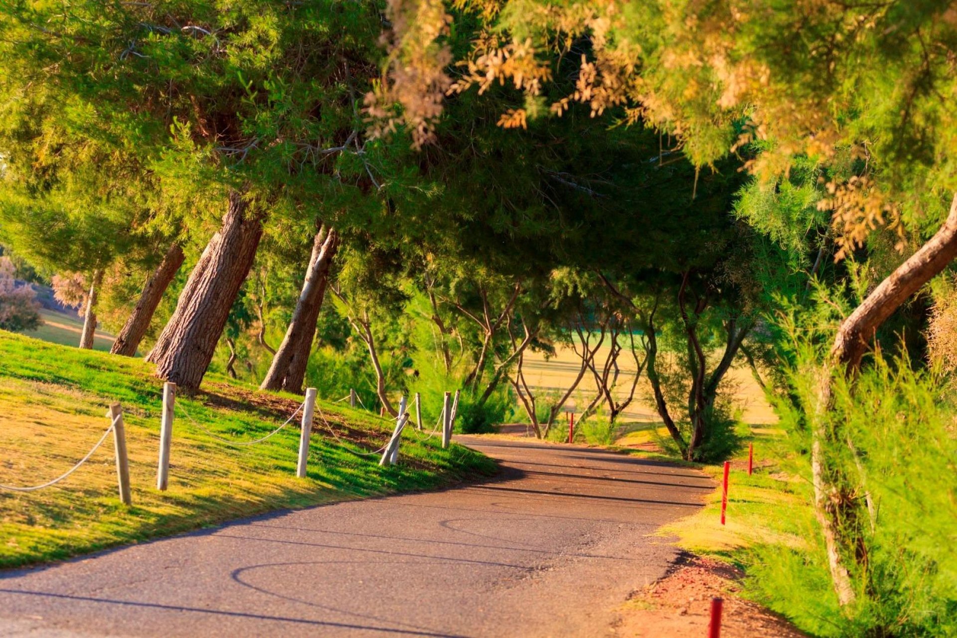 Obra nueva - Independiente / Villa -
Pilar de la Horadada - Lo Romero Golf