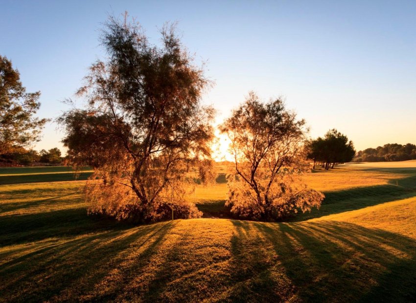 Obra nueva - Independiente / Villa -
Pilar de la Horadada - Lo Romero Golf