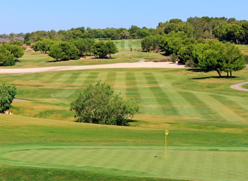 Obra nueva - Independiente / Villa -
Pilar de la Horadada - Lo Romero Golf
