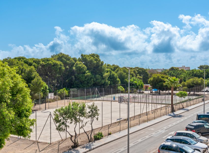 Obra nueva - Independiente / Villa -
Pilar de la Horadada