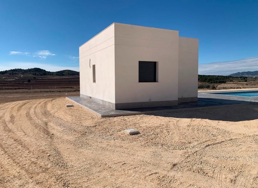 Obra nueva - Independiente / Villa -
Pinoso - Camino Del Prado