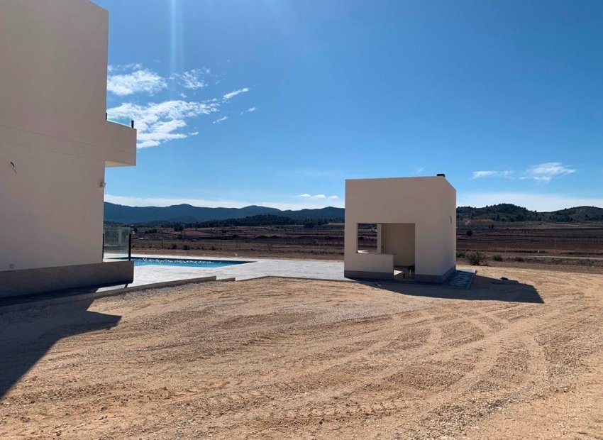 Obra nueva - Independiente / Villa -
Pinoso - Camino Del Prado