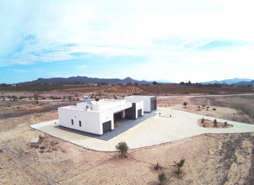 Obra nueva - Independiente / Villa -
Pinoso - Camino Del Prado