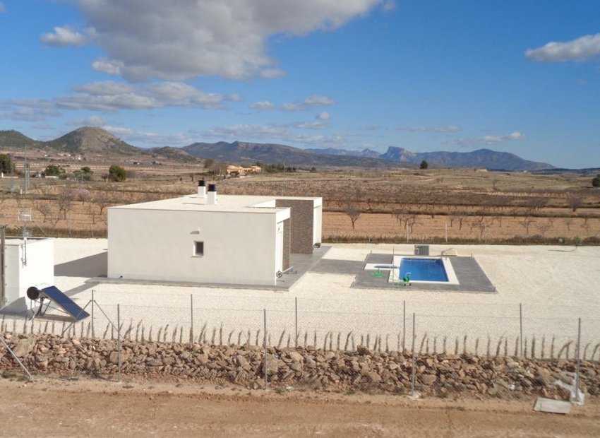 Obra nueva - Independiente / Villa -
Pinoso - Camino Del Prado