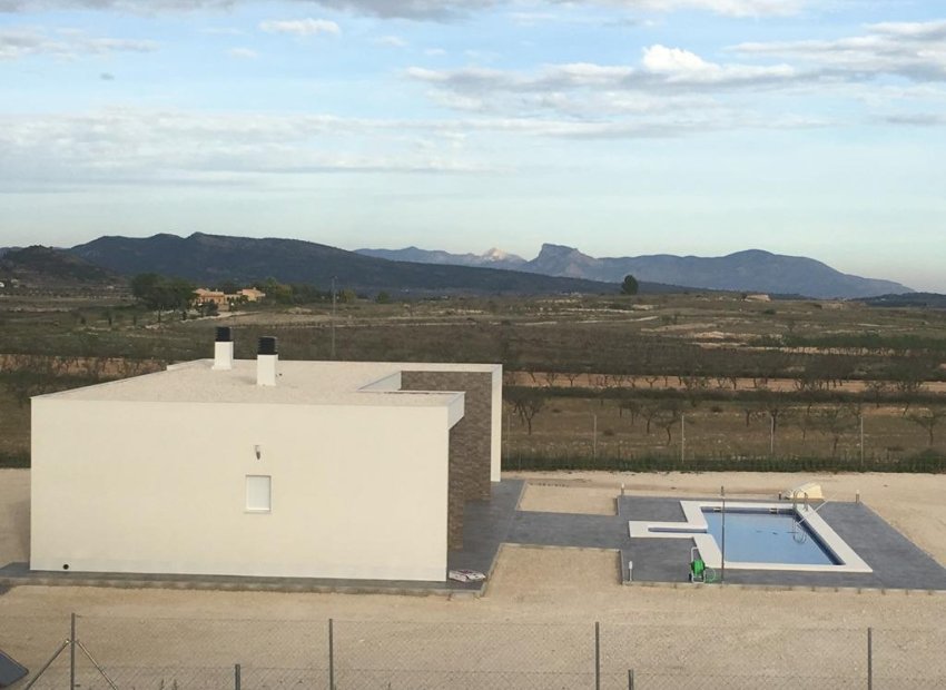 Obra nueva - Independiente / Villa -
Pinoso - Camino Del Prado