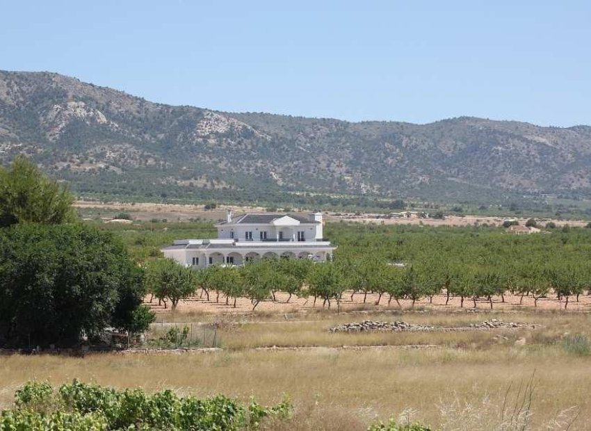 Obra nueva - Independiente / Villa -
Pinoso - Camino Del Prado