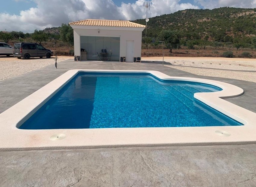 Obra nueva - Independiente / Villa -
Pinoso - Camino Del Prado