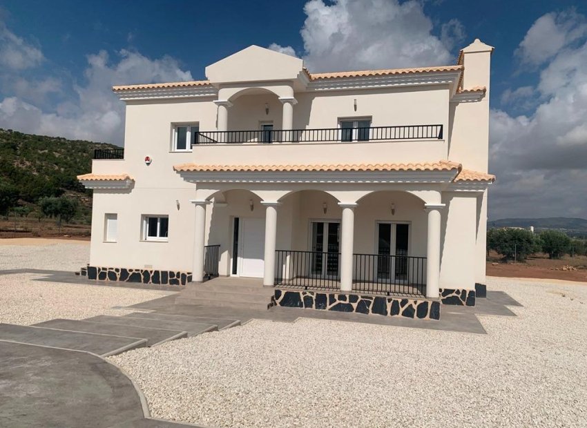 Obra nueva - Independiente / Villa -
Pinoso - Camino Del Prado