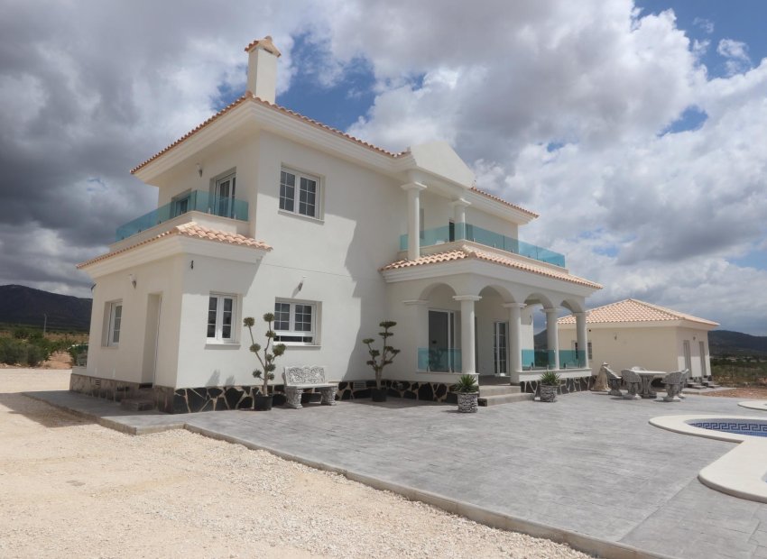 Obra nueva - Independiente / Villa -
Pinoso - Camino Del Prado