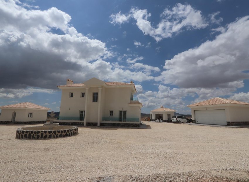 Obra nueva - Independiente / Villa -
Pinoso - Camino Del Prado