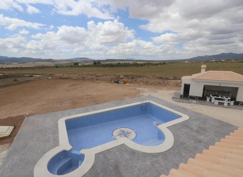 Obra nueva - Independiente / Villa -
Pinoso - Camino Del Prado