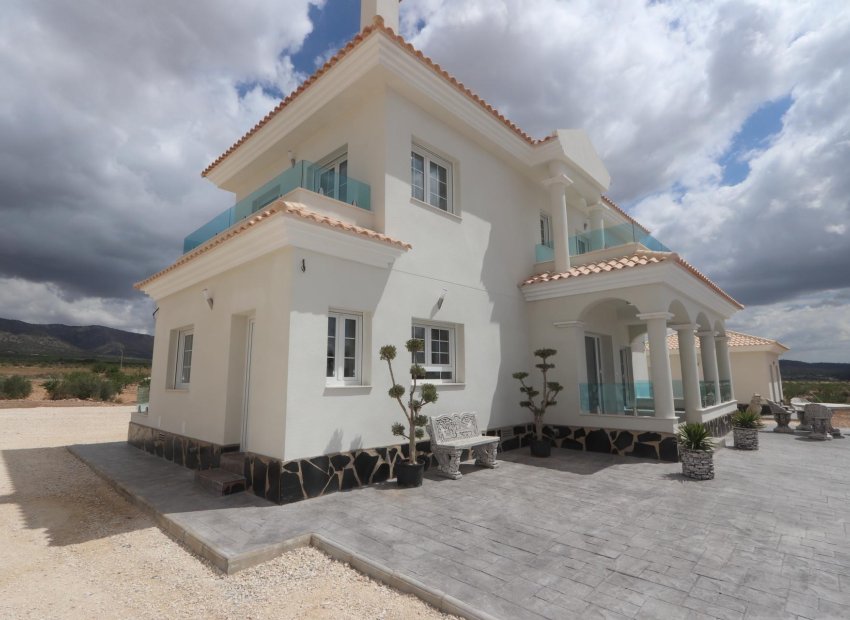Obra nueva - Independiente / Villa -
Pinoso - Camino Del Prado