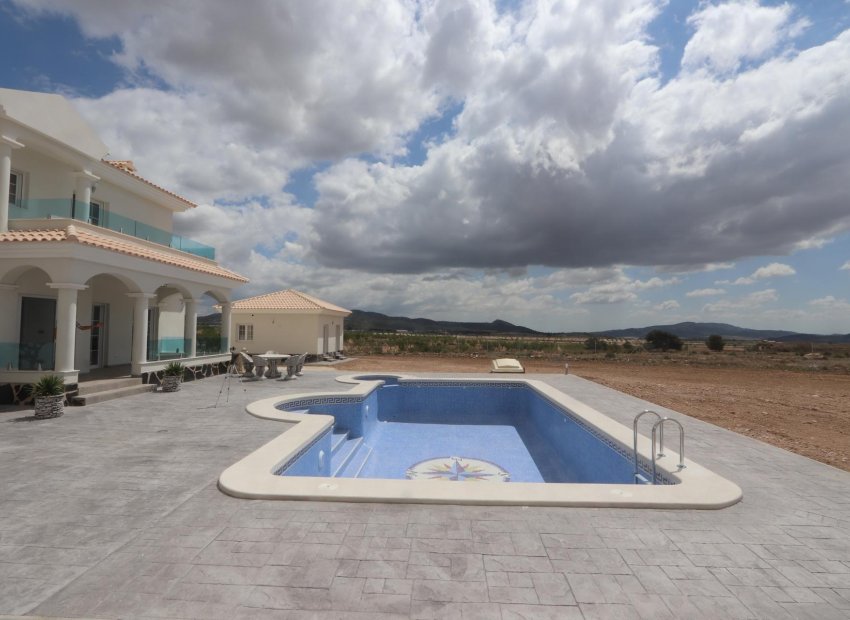 Obra nueva - Independiente / Villa -
Pinoso - Camino Del Prado