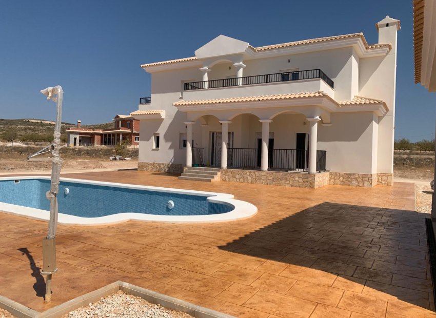 Obra nueva - Independiente / Villa -
Pinoso - Camino Del Prado