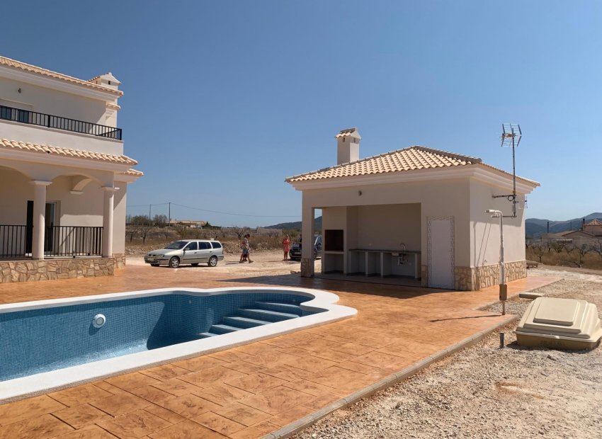 Obra nueva - Independiente / Villa -
Pinoso - Camino Del Prado