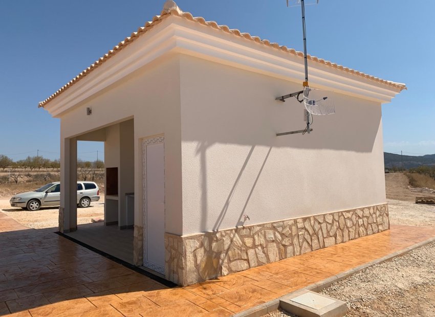 Obra nueva - Independiente / Villa -
Pinoso - Camino Del Prado