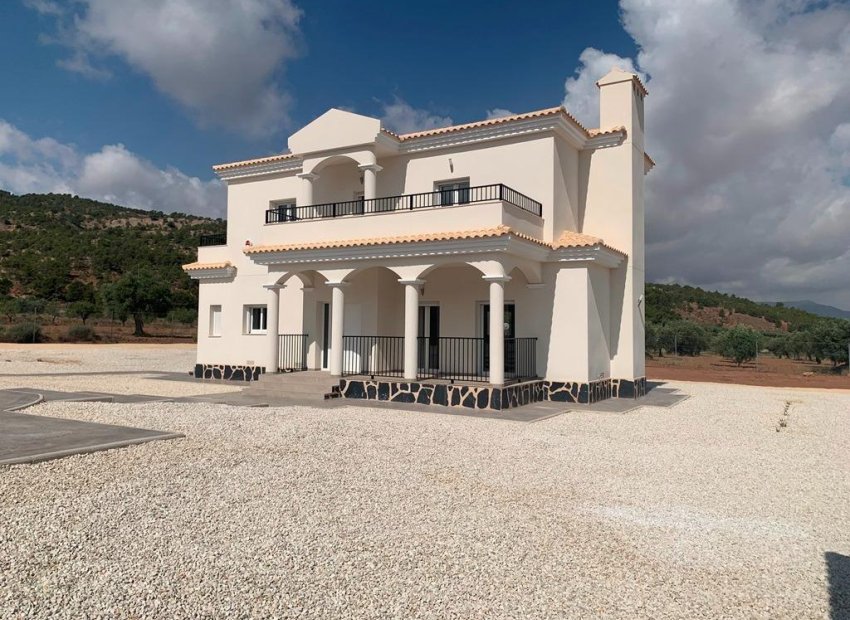 Obra nueva - Independiente / Villa -
Pinoso - Camino Del Prado