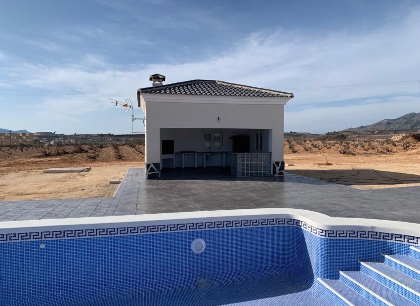Obra nueva - Independiente / Villa -
Pinoso - Camino Del Prado