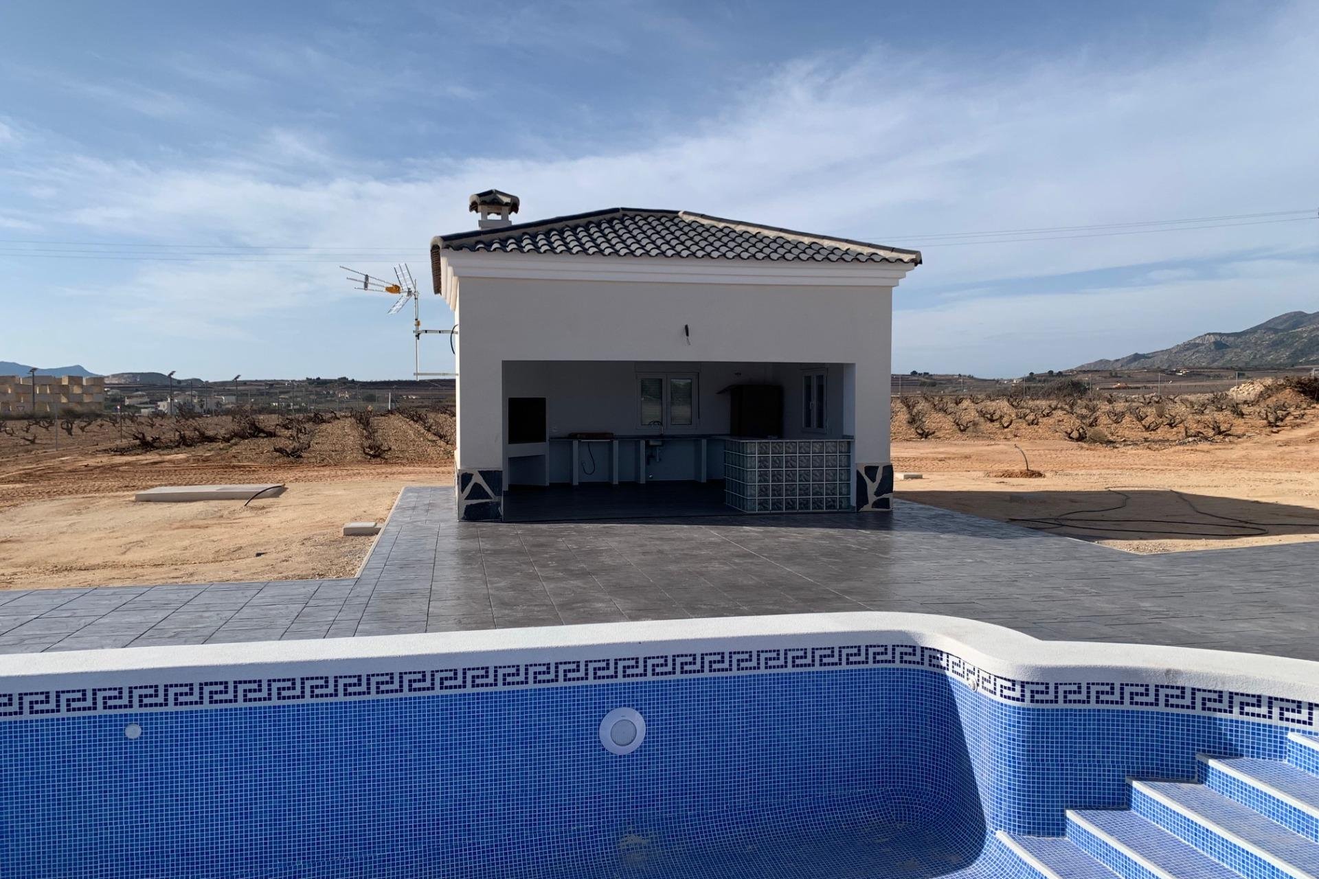 Obra nueva - Independiente / Villa -
Pinoso - Camino Del Prado