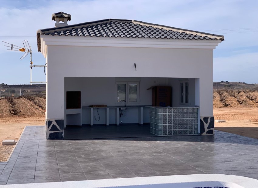 Obra nueva - Independiente / Villa -
Pinoso - Camino Del Prado
