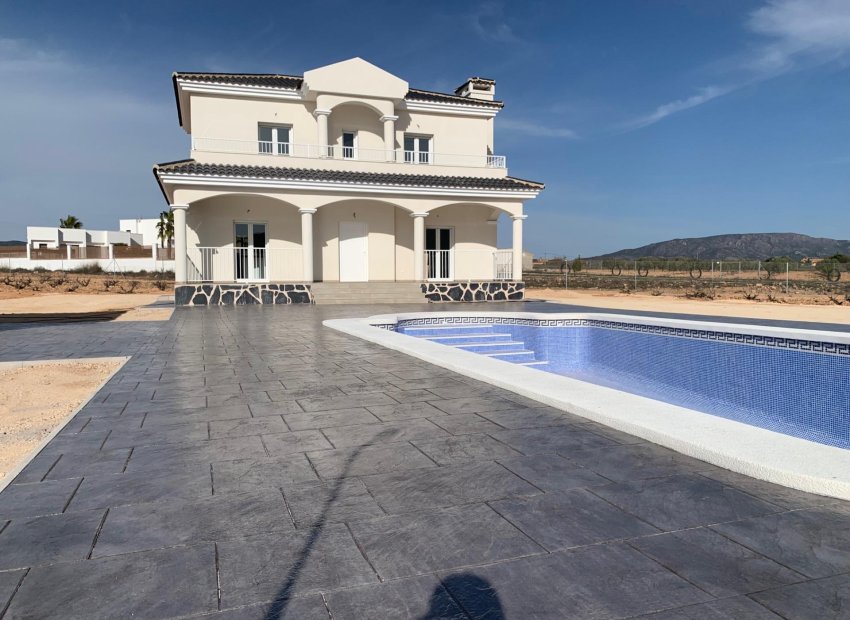Obra nueva - Independiente / Villa -
Pinoso - Camino Del Prado