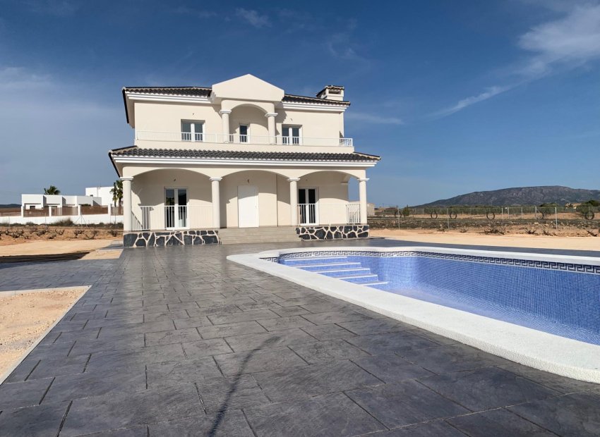 Obra nueva - Independiente / Villa -
Pinoso - Camino Del Prado