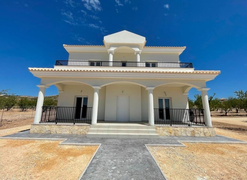 Obra nueva - Independiente / Villa -
Pinoso - Camino Del Prado