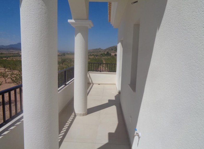 Obra nueva - Independiente / Villa -
Pinoso - Camino Del Prado