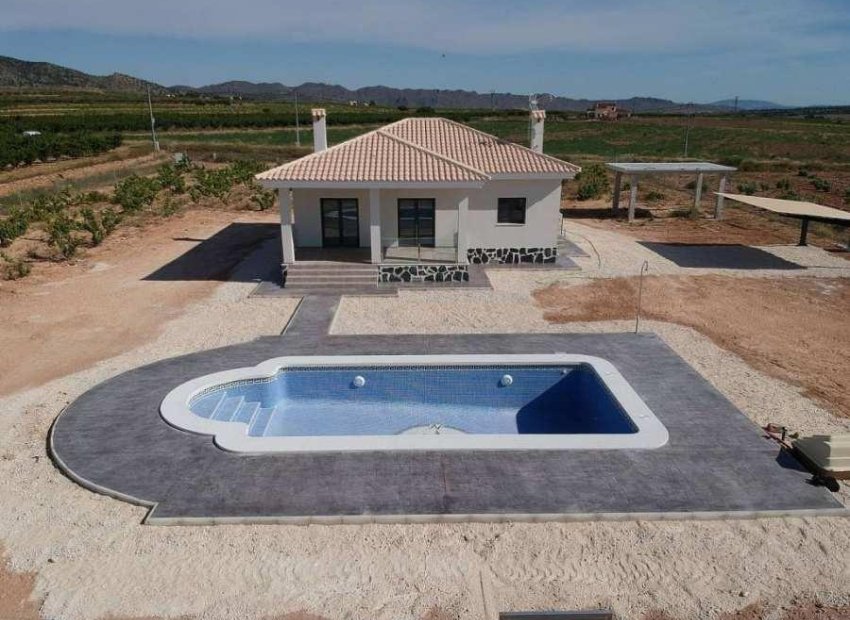 Obra nueva - Independiente / Villa -
Pinoso - Camino Del Prado