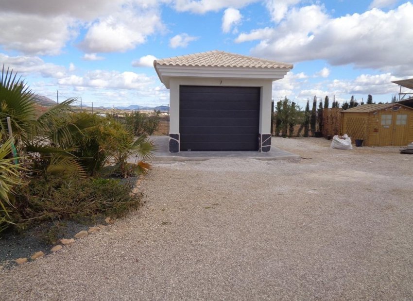 Obra nueva - Independiente / Villa -
Pinoso - Camino Del Prado