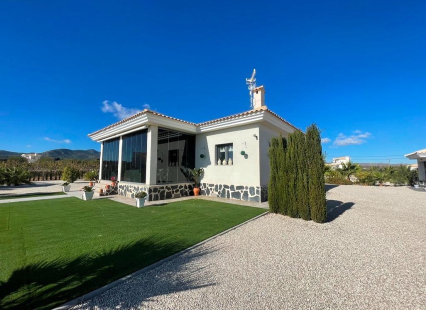 Obra nueva - Independiente / Villa -
Pinoso - Camino Del Prado