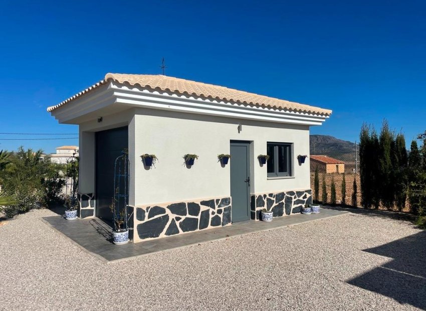 Obra nueva - Independiente / Villa -
Pinoso - Camino Del Prado