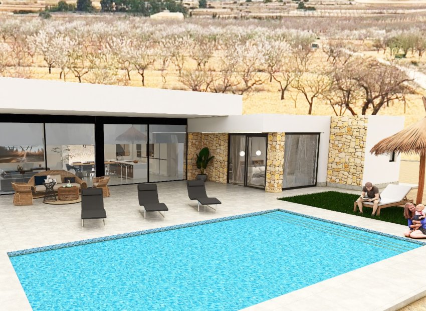 Obra nueva - Independiente / Villa -
Pinoso