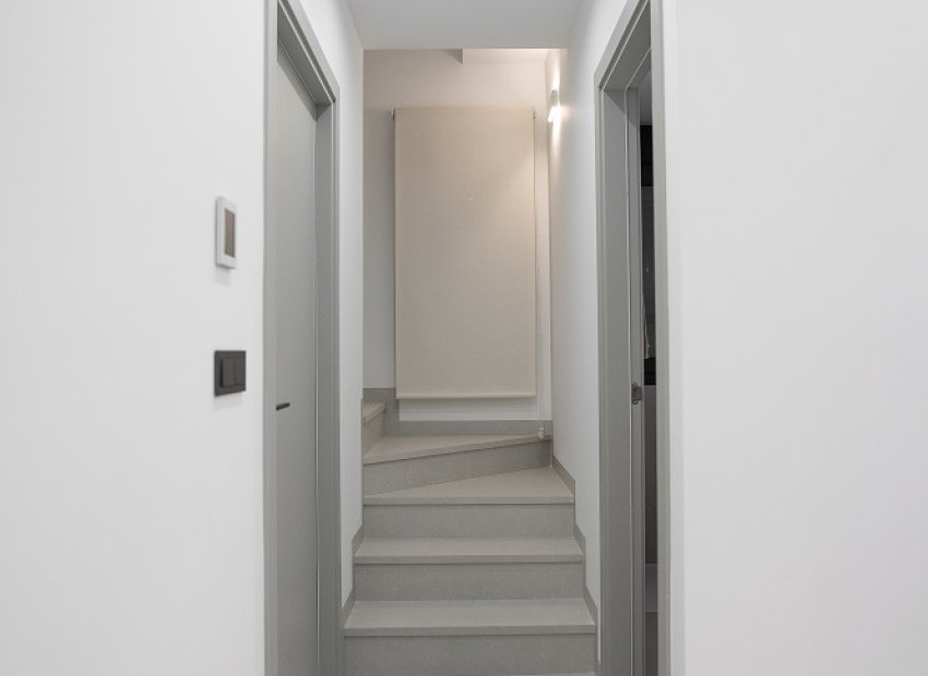 Obra nueva - Independiente / Villa -
San Miguel de Salinas