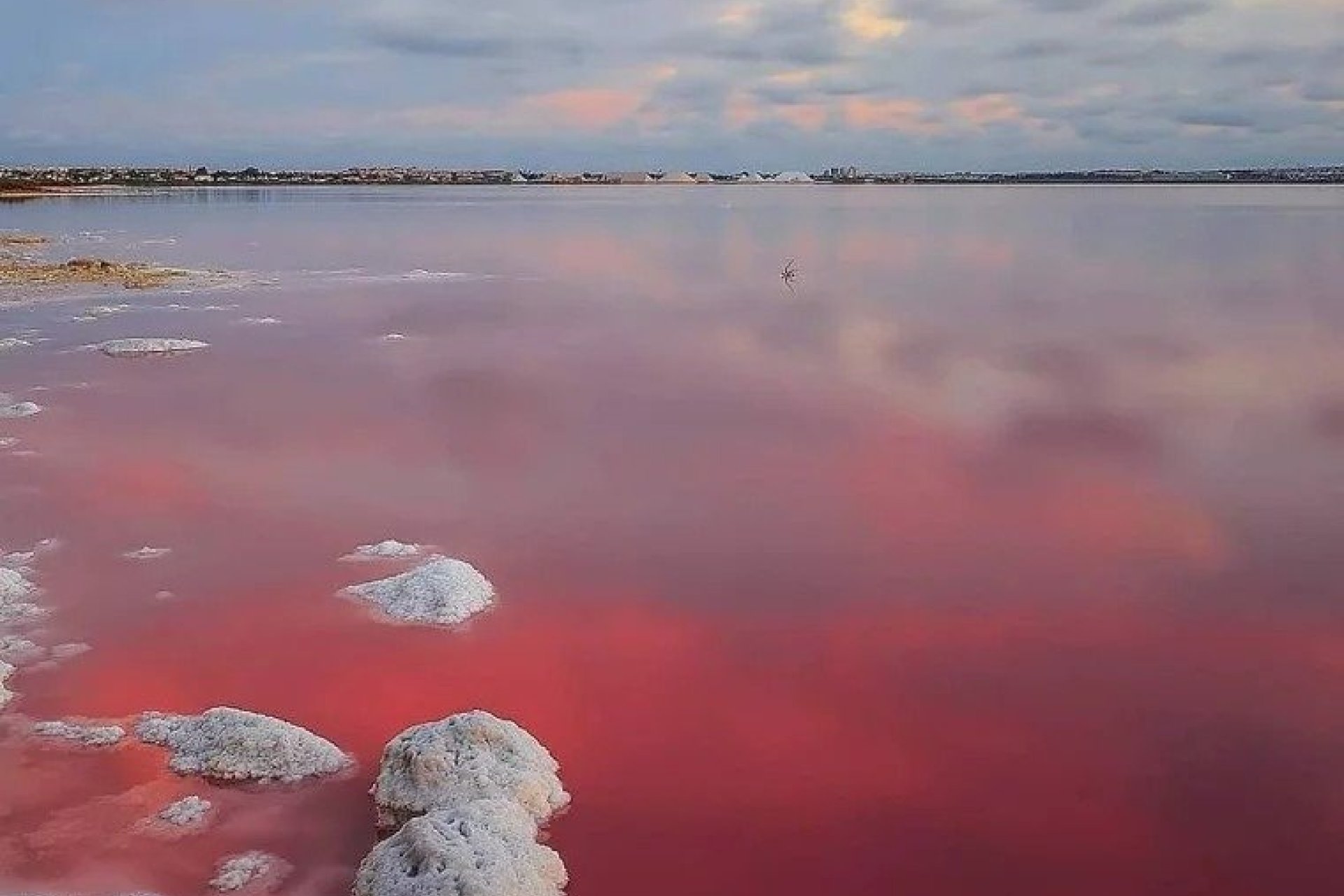 Obra nueva - Independiente / Villa -
Torrevieja - Lago Jardín II
