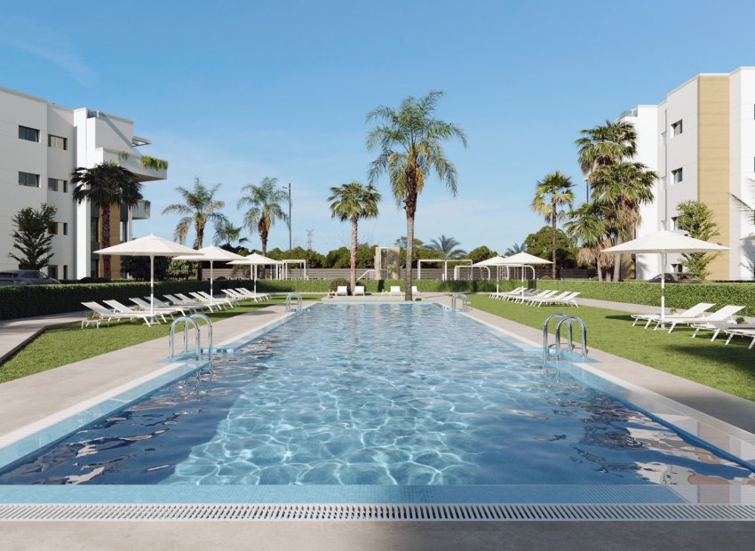 Obra nueva - Piso - Planta baja -
Torre Pacheco - Santa Rosalía
