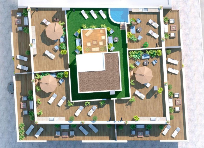 Obra nueva - Piso - Planta baja -
Torrevieja