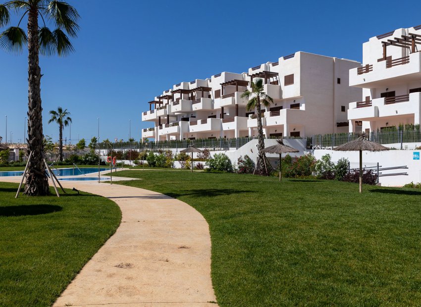 Obra nueva - Planta baja -
Pulpi - Pulpí